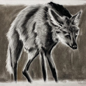 Guardião do Cerrado  | Cinzas