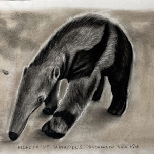 Filhote de Tamanduá-bandeira | Cinzas