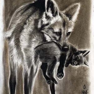 Lobo-guará e filhote | Cinzas