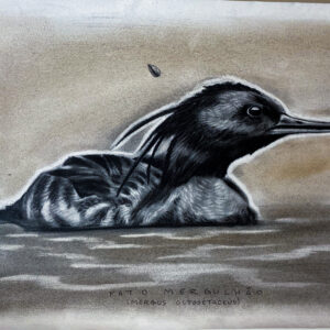 Embaixador das águas | Cinzas